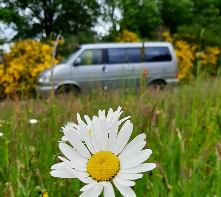 Naturens favntag Naturens favntag