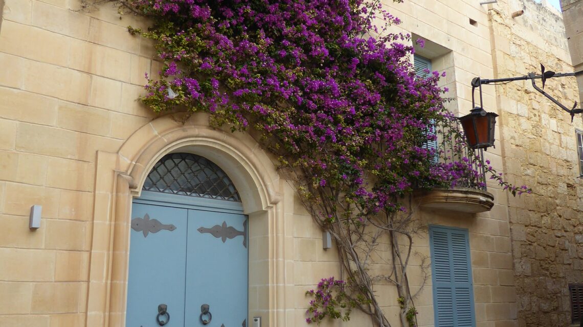 Malta Malta